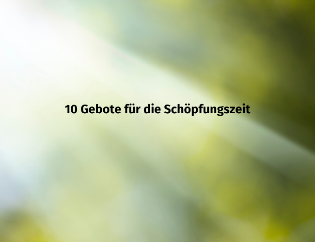10 Gebote für die Schöpfungszeit - Dieser Text vor grünem Hintergrund mit Sonnenstrahlen.